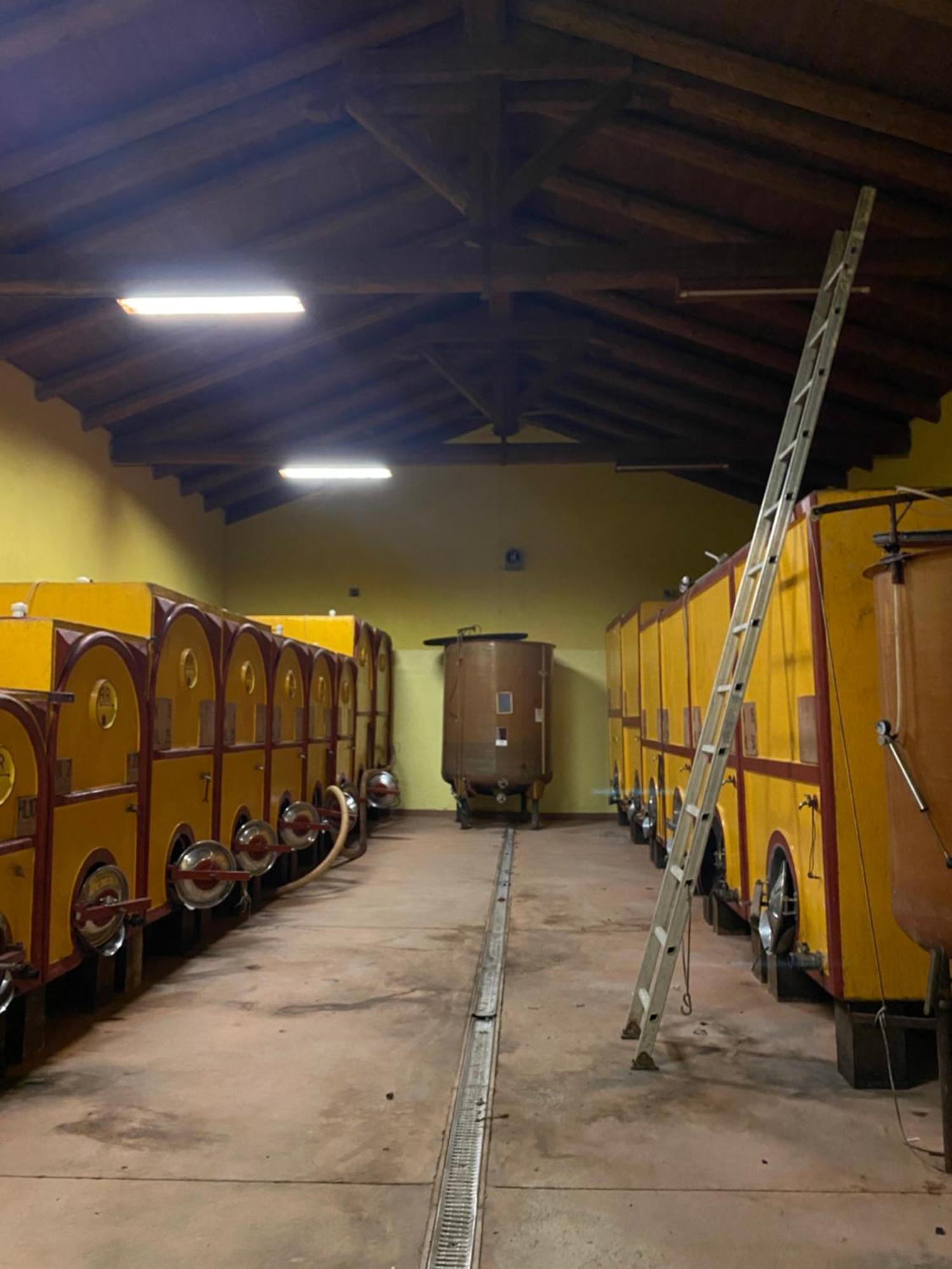 Tenuta Agricola La Cava- Cantina E Agriturismo San Damiano dʼAsti Eksteriør bilde