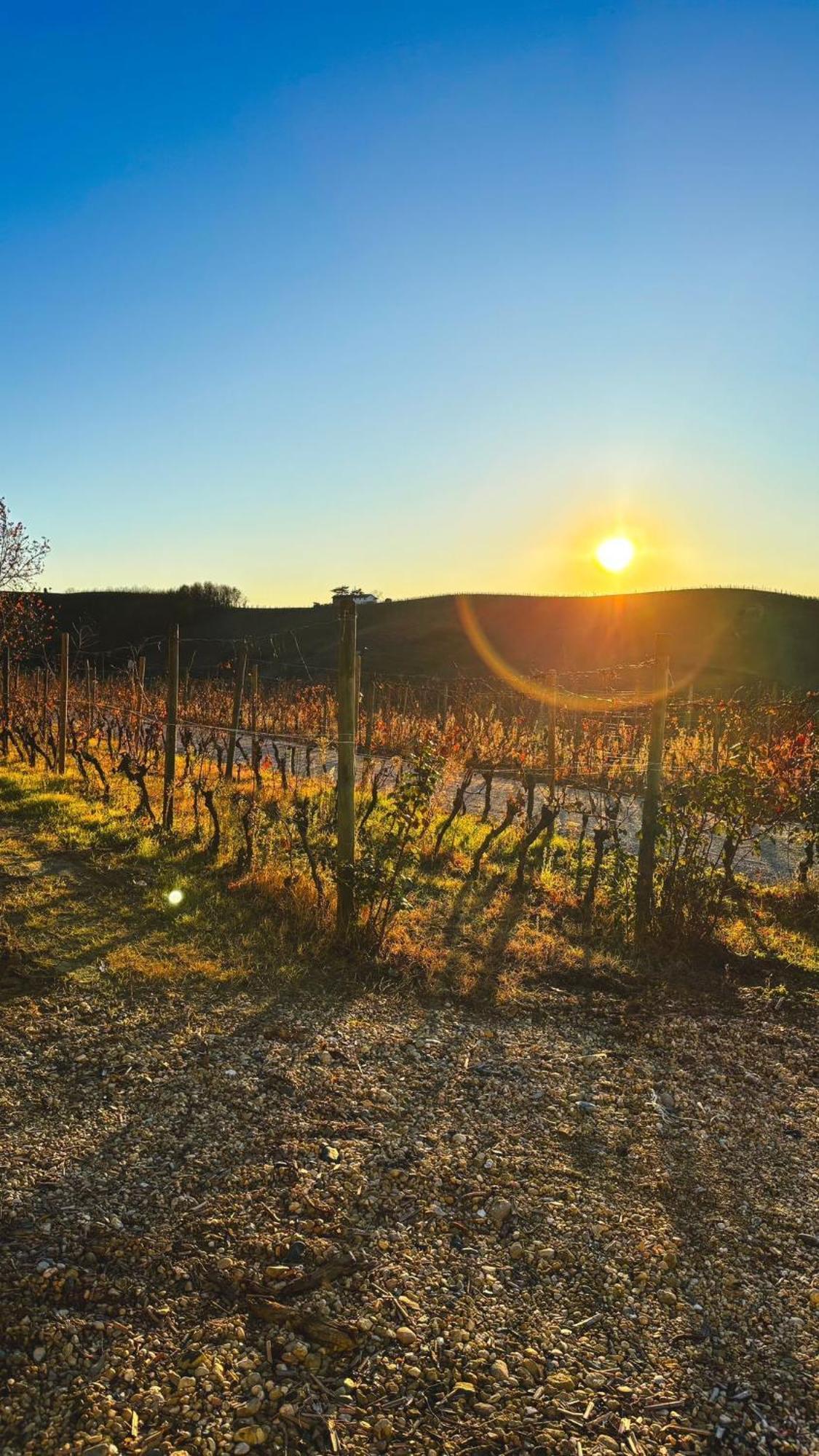 Tenuta Agricola La Cava- Cantina E Agriturismo San Damiano dʼAsti Eksteriør bilde