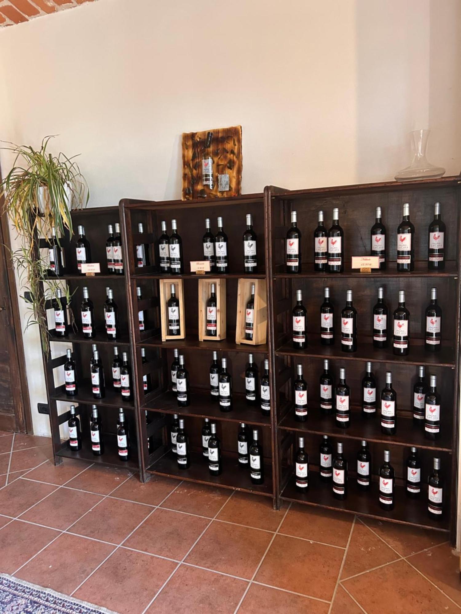 Tenuta Agricola La Cava- Cantina E Agriturismo San Damiano dʼAsti Eksteriør bilde