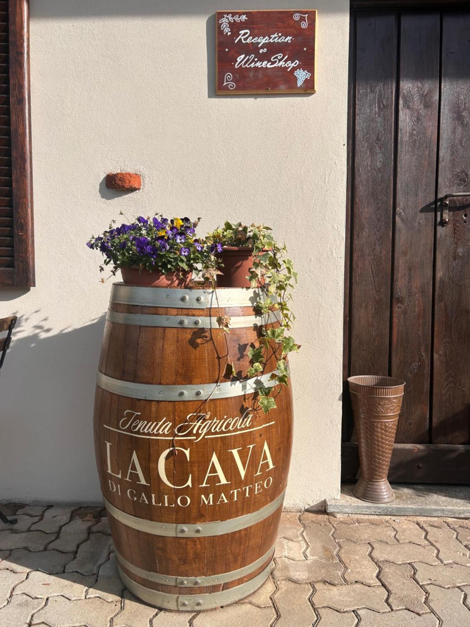 Tenuta Agricola La Cava- Cantina E Agriturismo San Damiano dʼAsti Eksteriør bilde